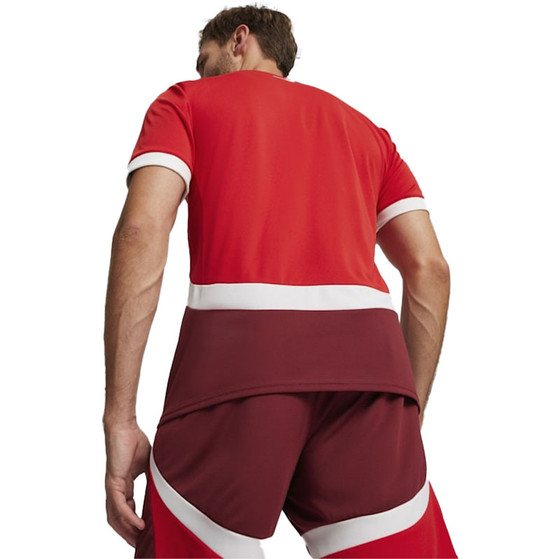 Puma Zwitserland Thuis Shirt