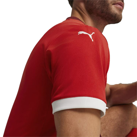 Puma Zwitserland Thuis Shirt