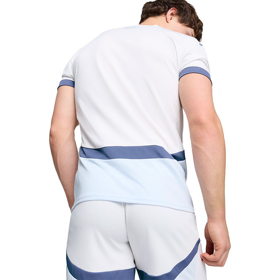 Puma Switserland Away Socks 2024/2026