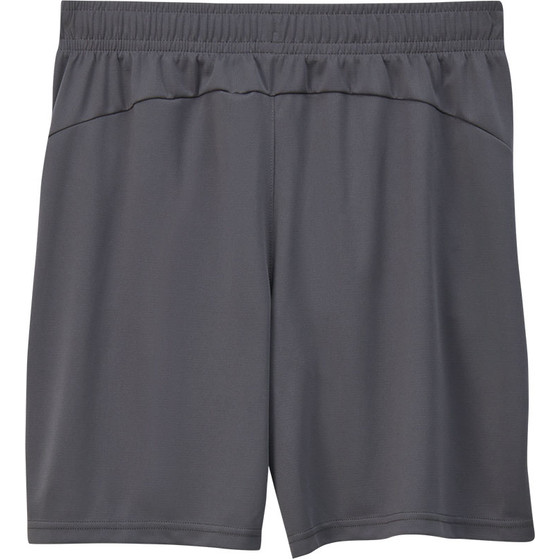 Puma Switserland Short 2024/2026