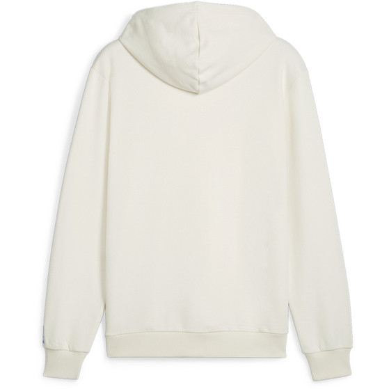 Puma Handball Hoodie