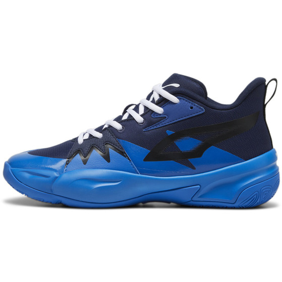 Puma Genetics