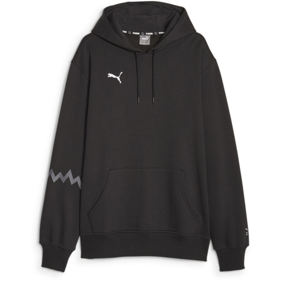 PUMA Hoops Team Hoodie