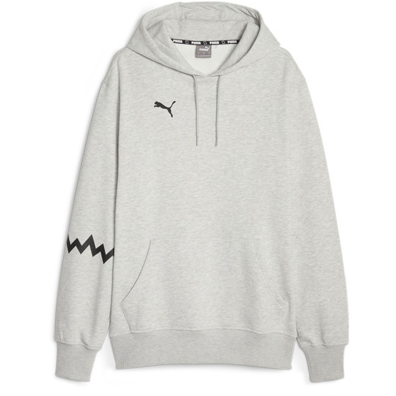 Puma Hoops Team Hoodie