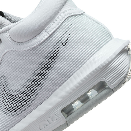 Nike LeBron Witness VIII