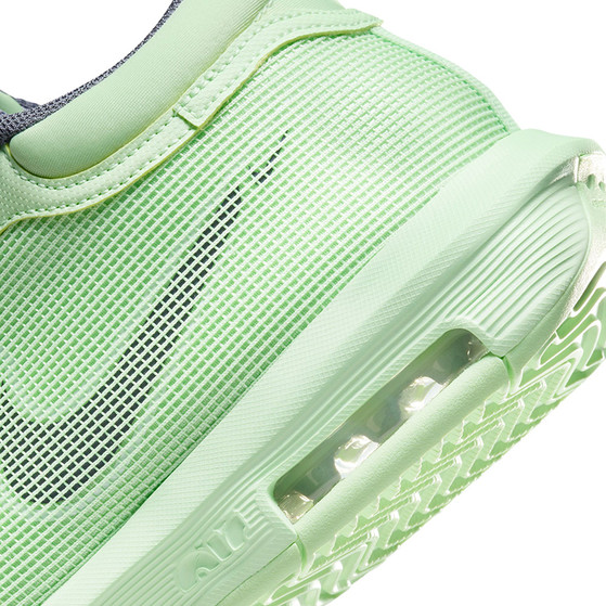 Nike LeBron Witness VIII