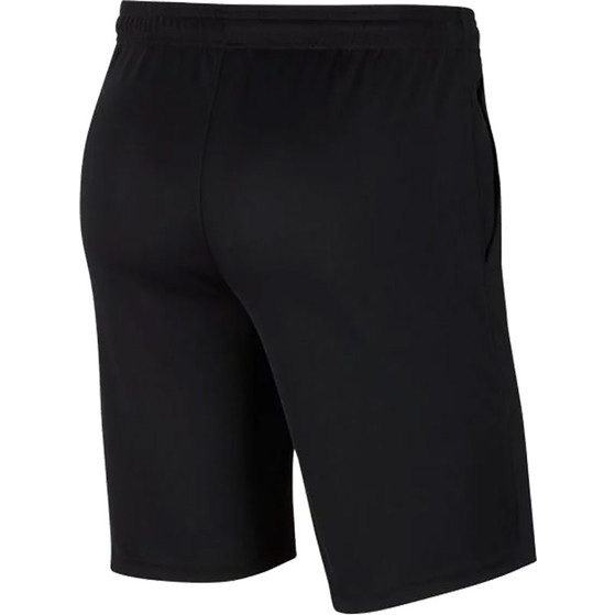 Nike Dry Park 20 Short