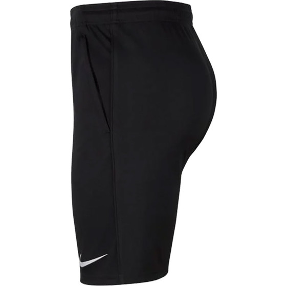 Nike Dry Park 20 Short