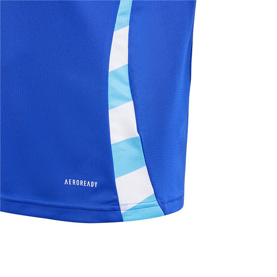 adidas Argentinië Uit Shirt Kids 2024/2026