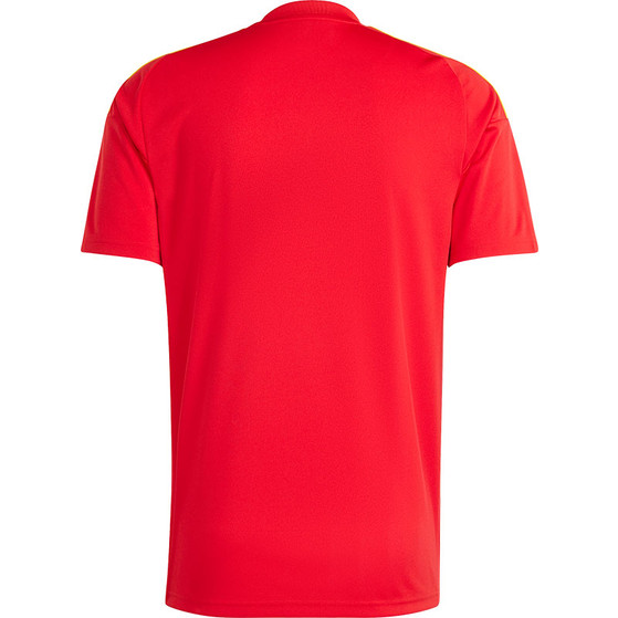 adidas Spanje Thuis Shirt Fan 2024/2026