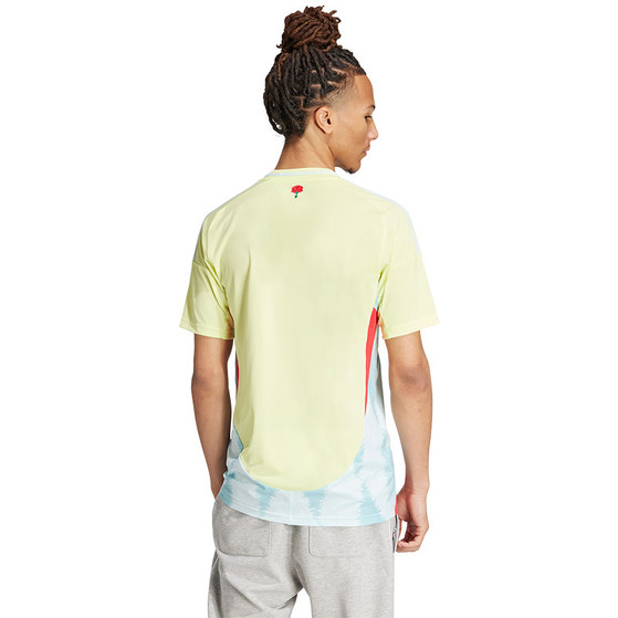adidas Spanje Uit Tenue