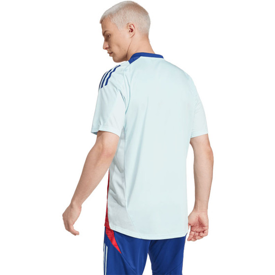 adidas Spanien Trainingsset