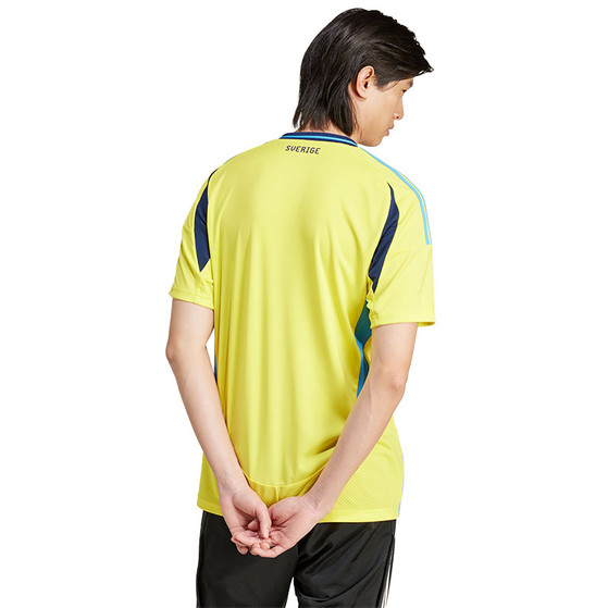 adidas Zweden Thuis Tenue