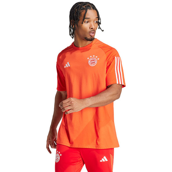 adidas Bayern München Tee 2023/2024