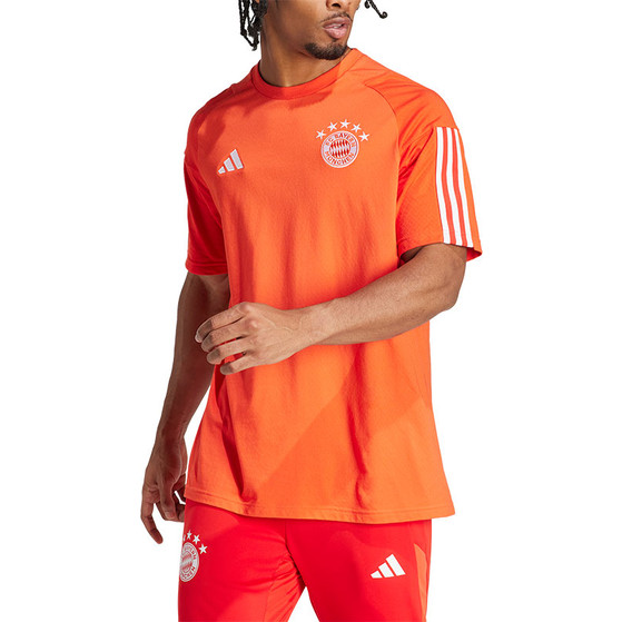 adidas Bayern München Tee 2023/2024