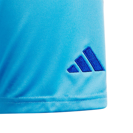 adidas Tiro 24 Competition Keeperstenue Kids