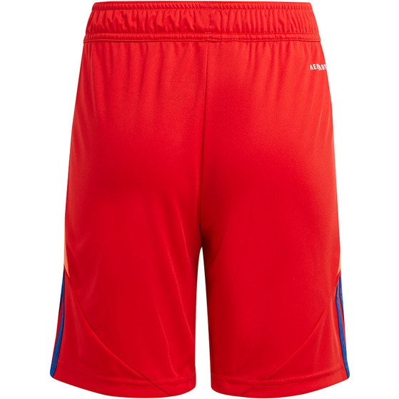 adidas Tiro 24 Competition Keeperstenue Kids