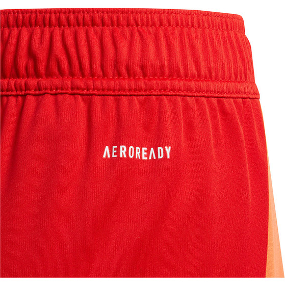 adidas Tiro 24 Competition Keeperstenue Kids