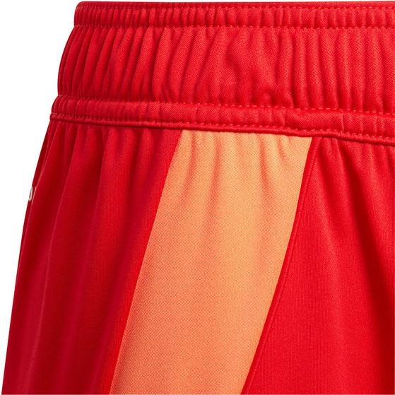 adidas Tiro 24 Competition Keeperstenue Kids