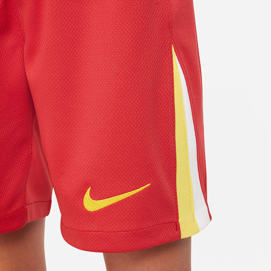 Nike Liverpool Thuis Tenue Kids