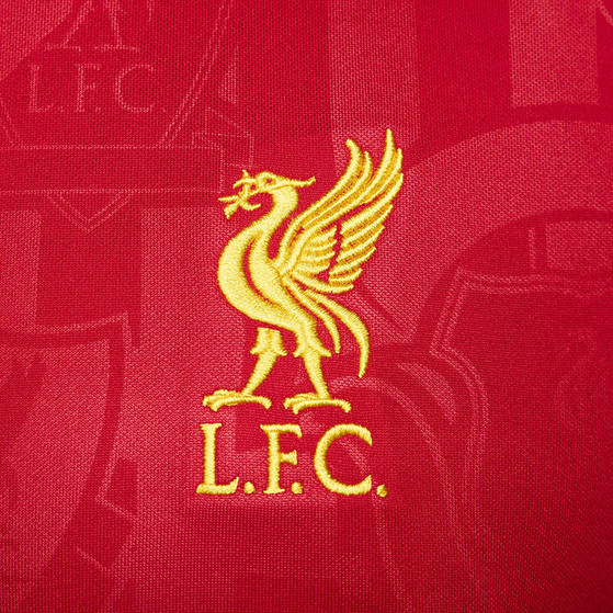 Nike Liverpool Pre-Match Top 2024/2025
