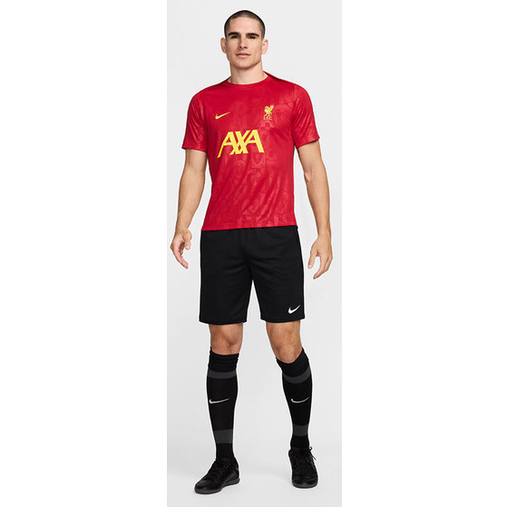 Nike Liverpool Pre-Match Top 2024/2025