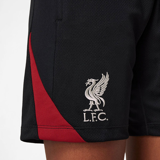 Nike Liverpool Strike Trainingsset Kids