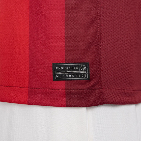 Nike Noorwegen Thuis Shirt 2024/2026