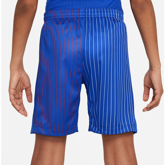 Nike Frankrijk Uit Tenue Kids