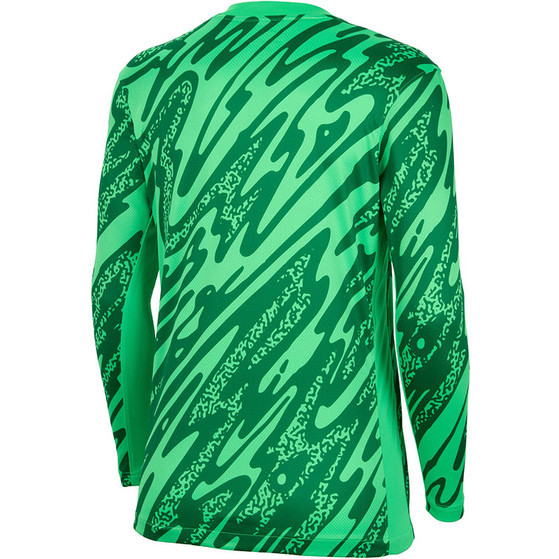 Nike Nederländerna Målvaktströjor Dam