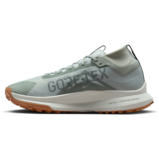Nike Pegasus Trail 4 GTX Heren