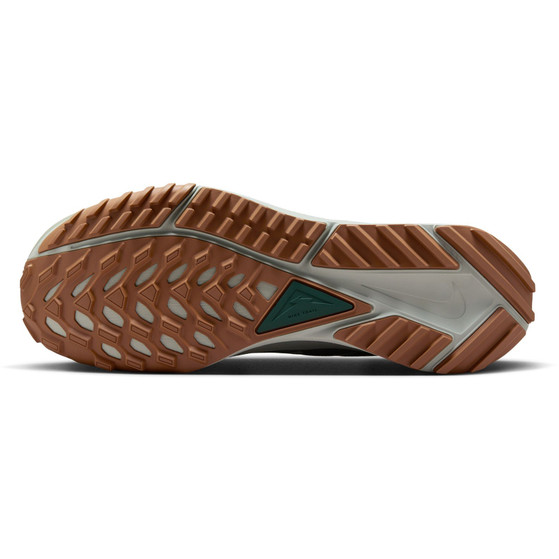 Nike Pegasus Trail 4 GTX Heren