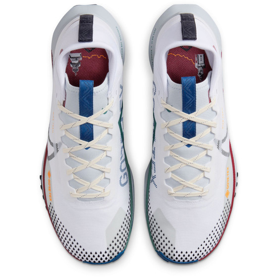 Nike Pegasus Trail 4 GTX Heren