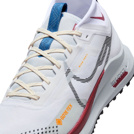 Nike Pegasus Trail 4 GTX Heren