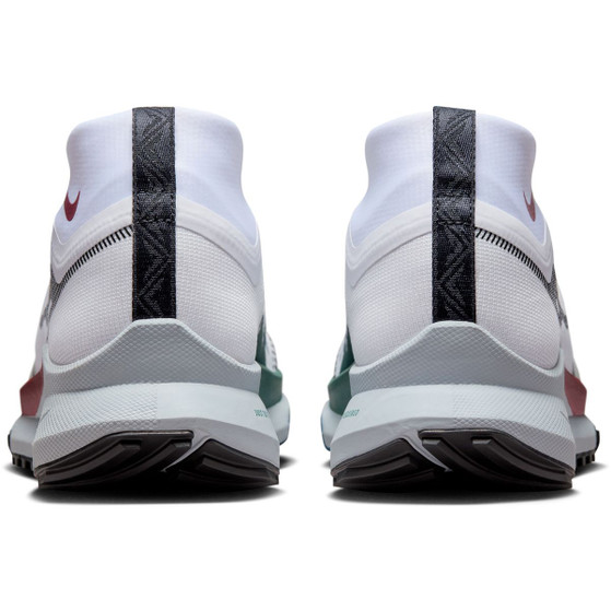 Nike Pegasus Trail 4 GTX Heren
