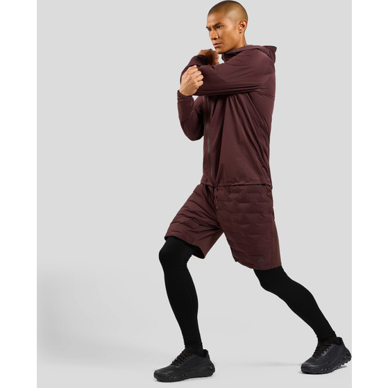 Odlo X-Alp Waterproof Jack Heren