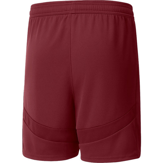 Puma Manchester City 3rd Tenue