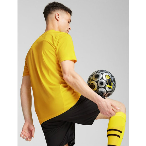 Puma Borussia Dortmund Trainingsset