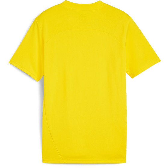 Puma Borussia Dortmund Training Set Kids