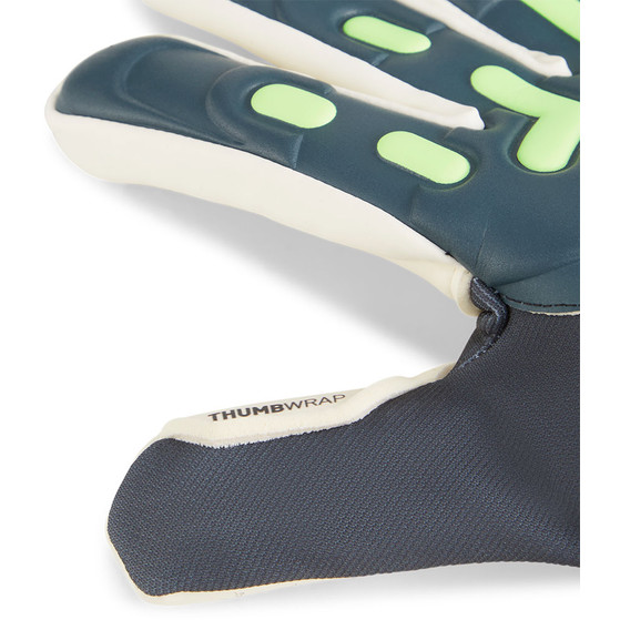 Puma Future Match NC Torwarthandschuhe