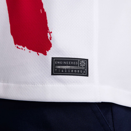 Nike Paris Saint-Germain Away Kit