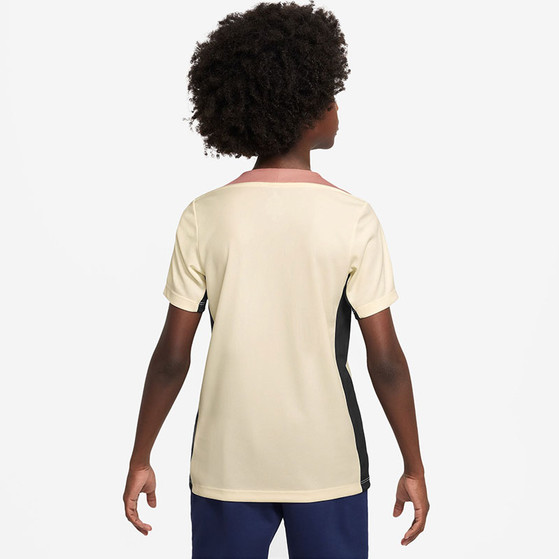 Nike Paris Saint-Germain Strike Top Kids 2024/2025