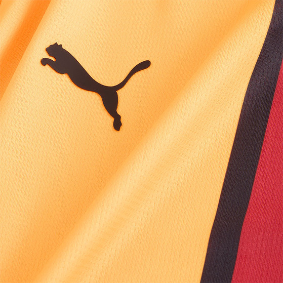 Puma Galatasaray Heimtrikot Kinder 2024/2025