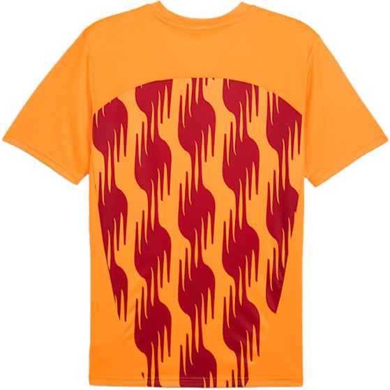 Puma Galatasaray Pre-Match Shirt 2024/2025