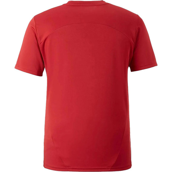 Puma Galatasaray Trainingsset