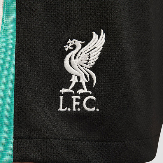 Nike Liverpool Uit Tenue