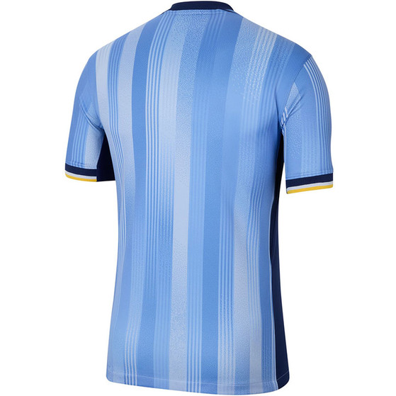 Nike Tottenham Hotspur Bortatröja Barn 2024/2025