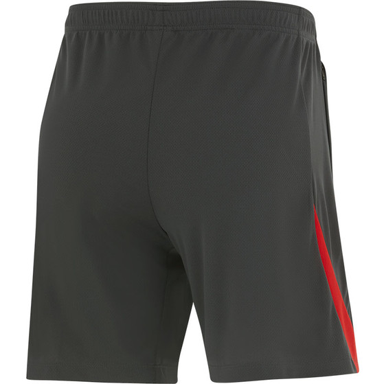 Nike Türkei Strike Short