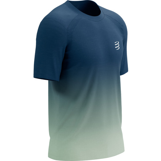 Compressport Performance T-Shirt Heren