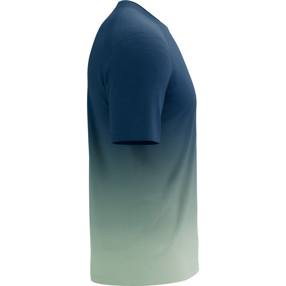 Compressport Performance T-Shirt Heren